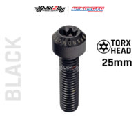 KENDMOTO_TITANIUM TORX M8X25 copy 7