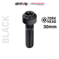 KENDMOTO_TITANIUM TORX M8X30 copy 7