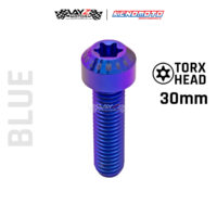 KENDMOTO_TITANIUM TORX M8X30 copy 9