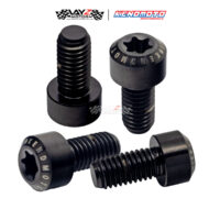 KENDMOTO_TITANIUM TORX M8X35 copy