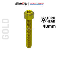 KENDMOTO_TITANIUM TORX M8X40 copy 10