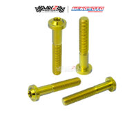 KENDMOTO_TITANIUM BAUT BIG HEAD M10X70 1,5 copy 4