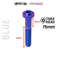 KENDMOTO_TITANIUM BAUT BIG HEAD M10X75 1,5 copy 9