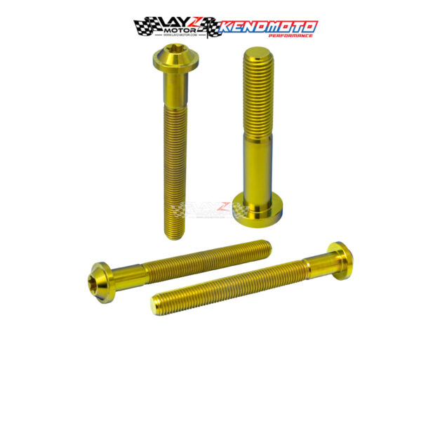 Second image of KENDMOTO Titanium Baut BIG HEAD M10x80 Drat 1,5