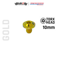 KENDMOTO_TITANIUM BAUT BIG HEAD M10x10 1,25 copy 10