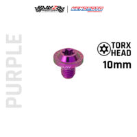 KENDMOTO_TITANIUM BAUT BIG HEAD M10x10 1,25 copy 12
