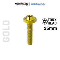 KENDMOTO_TITANIUM BAUT BIG HEAD M8X25 copy 10