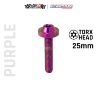KENDMOTO_TITANIUM BAUT BIG HEAD M8X25 copy 12