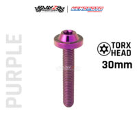 KENDMOTO_TITANIUM BAUT BIG HEAD M8X30 copy 12