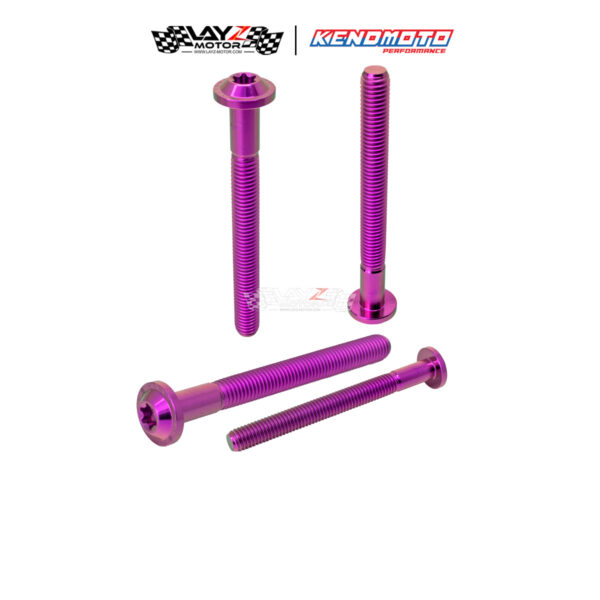 Second image of KENDMOTO Titanium Baut BIG HEAD M8x80