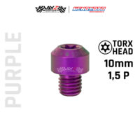 KENDMOTO_TITANIUM TORX M10X10 1,5P copy 12