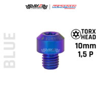 KENDMOTO_TITANIUM TORX M10X10 1,5P copy 9