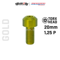 KENDMOTO_TITANIUM TORX M10X20 1,25P copy 10