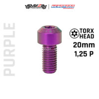 KENDMOTO_TITANIUM TORX M10X20 1,25P copy 12
