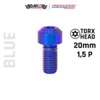 KENDMOTO_TITANIUM TORX M10X20 1,25P copy 9