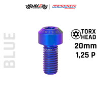 KENDMOTO_TITANIUM TORX M10X20 1,25P copy 9