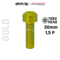 KENDMOTO_TITANIUM TORX M10X30 1,5P copy 10