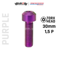 KENDMOTO_TITANIUM TORX M10X30 1,5P copy 12
