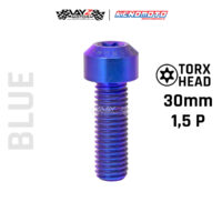 KENDMOTO_TITANIUM TORX M10X30 1,5P copy 9