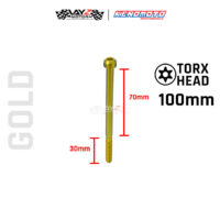 KENDMOTO_TITANIUM TORX M6X100 copy 10
