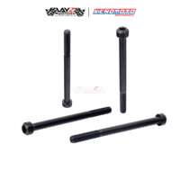 KENDMOTO_TITANIUM TORX M6X100 copy