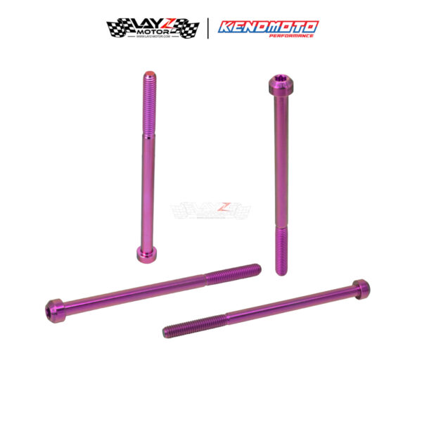 Second image of KENDMOTO Titanium Baut TORX M6x150