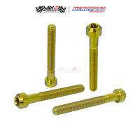 KENDMOTO_TITANIUM TORX M6X60 copy 4