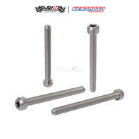 KENDMOTO_TITANIUM TORX M6X65 copy 2