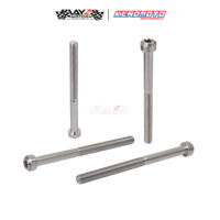 KENDMOTO_TITANIUM TORX M6X80 copy 2