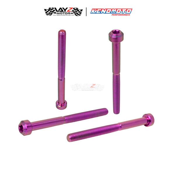 Second image of KENDMOTO Titanium Baut TORX M6x80